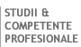 Studii si competente profesionale